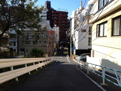 【周辺】 | パシフィック青山 | 前面道路