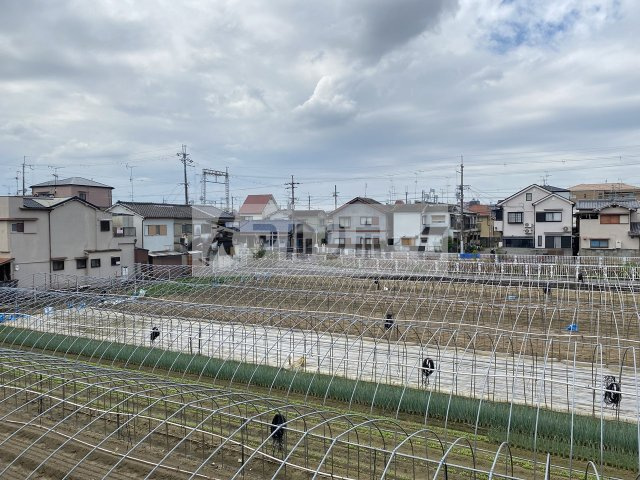 コージーコート法善寺の展望|コージーコート法善寺　見晴らし