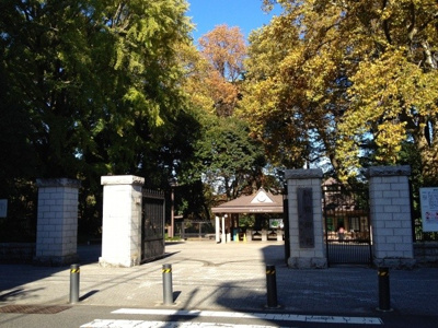 【周辺】 | マイキャッスル千駄ヶ谷 | 新宿御苑