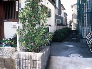 【外観】 | 富士