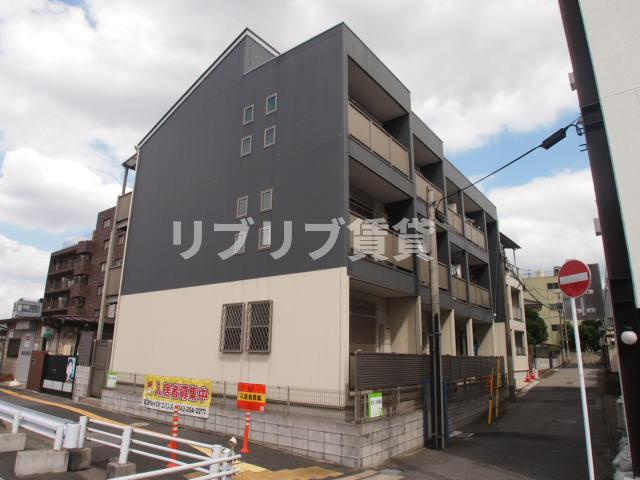 サイプレス