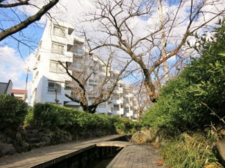 【周辺】 | 物件前面が桜並木歩道になっています！
