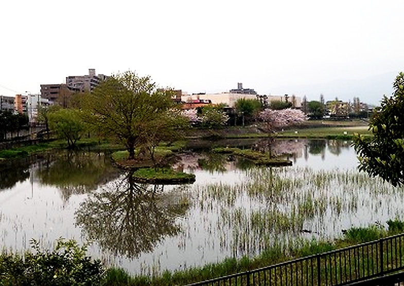 インパルス野間大池の周辺|インパルス野間大池（2LDK）　野間大池公園