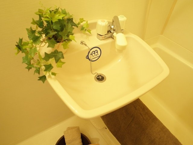 セピアコートⅦの洗面所|セピアコートⅦ（1K）　洋室