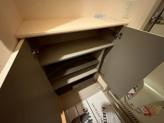 ウェルストンの収納