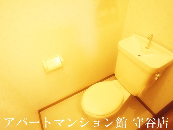 グランディハイツ のトイレ