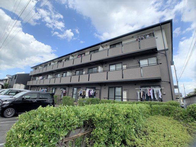 ハイカムールis