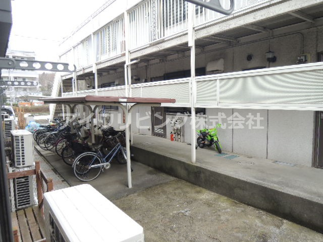 ハイビスカスの展望|【ハイビスカス】