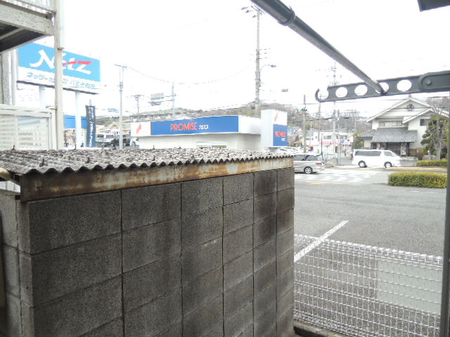 ハイビスカスの展望|【ハイビスカス】