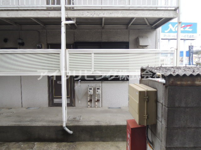 ハイビスカスの展望|【ハイビスカス】