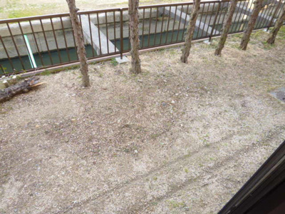 【庭】 | グリーンウッド