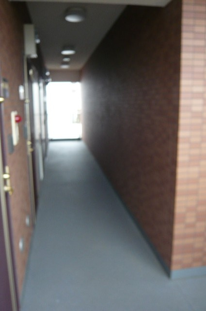 シャナイア愛宕のその他共用部分|共用廊下【シャナイア愛宕】