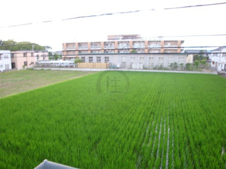 【展望】 | 目の前に広がる田園風景