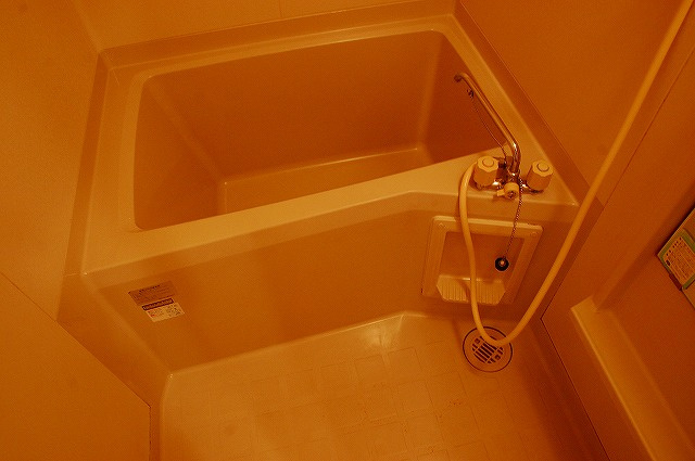 タモサーチＣの浴室