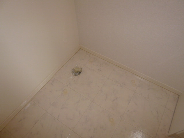 カーサ・ヴィアソーレＡのその他|洗濯機置き場