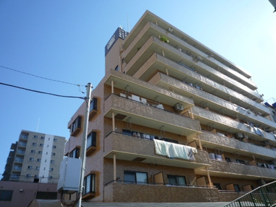 【外観】 | ライオンズマンション川口幸町 | ライオンズマンション川口幸町（タイル張りの外観がライオンズマンションですね。ふじの市商店街やアリオ川口が徒歩５分以内にある便利な立地です）