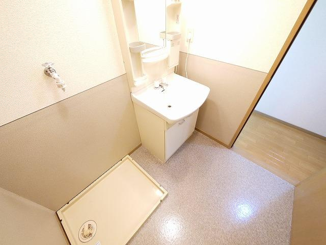 エントピア梅美　B棟の洗面所