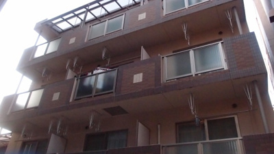 【外観】 | プレジール坂戸