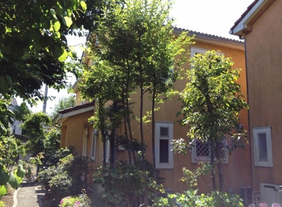 【外観】 | 武蔵野ガーデンハウス(賃貸一戸建て) | 武蔵野ガーデンハウス(賃貸一戸建て)