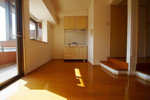 セイスピノスのキッチン|写真は別号室タイプです