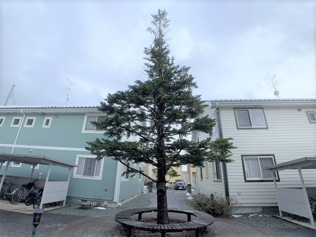 ゆ～とぴあのエントランス