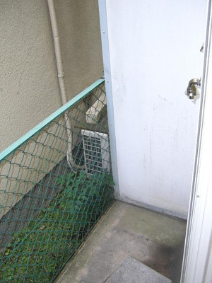  | シングル・モア