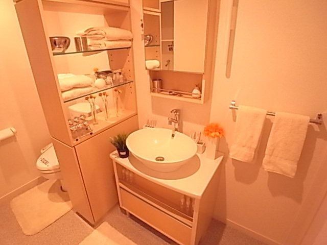 ＴＨＥ　ＭＥＴＲＯＰＯＬＩＴＡＮの洗面所|ＴＨＥ　ＭＥＴＲＯＰＯＬＩＴＡＮ（1LDK）　洗面所