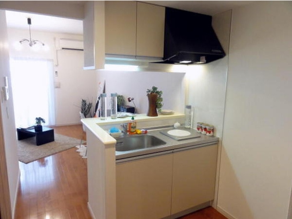 アソシアグロッツォ・クアトロ博多のキッチン|アソシアグロッツォ・クアトロ博多(1K)　キッチン