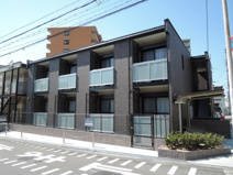 レオネクストパインツリーの画像