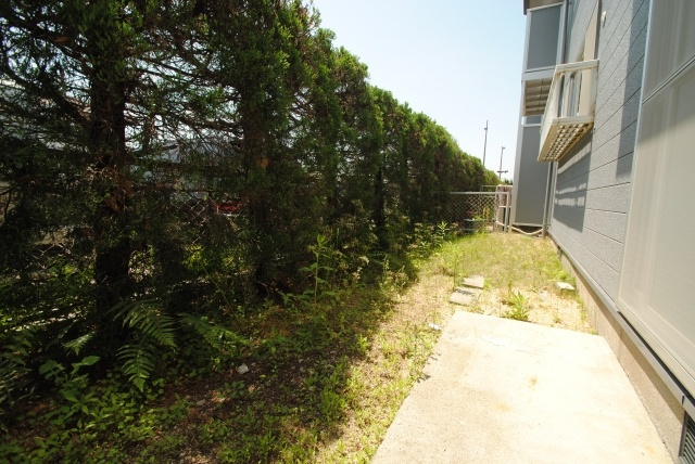 久留米市津福今町のアパートの庭