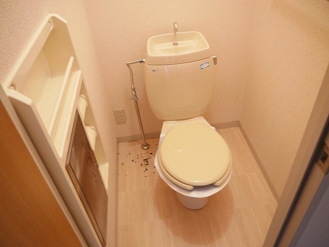 ファミール光のトイレ