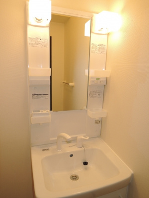 【独立洗面台】 | レオネクストハピネス | ☆シャンプードレッサー☆