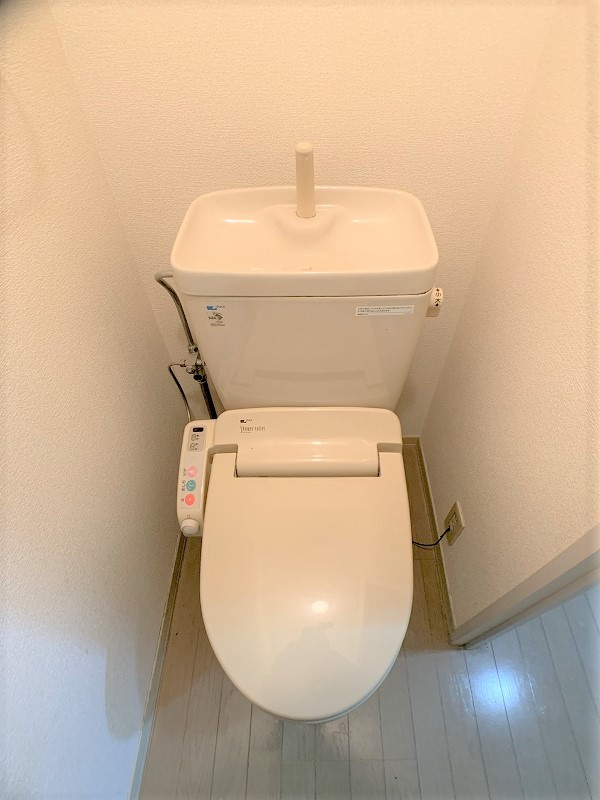 ディアス八桜のトイレ