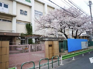 【周辺】 | 開桜小学校