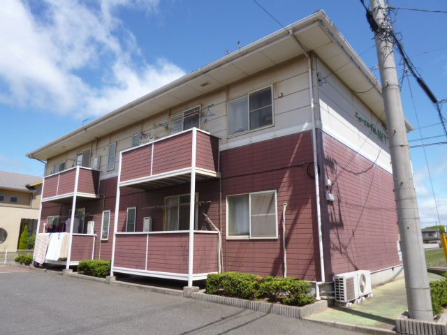 ニューエルディムトモエⅤ