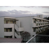 シャンテムーランの画像