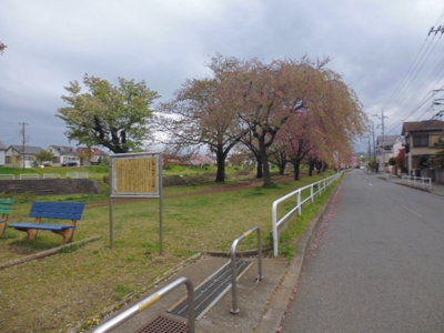 【周辺】 | エステート長房 | 遊歩道はお散歩に最適