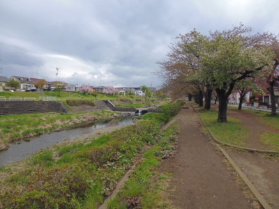 【周辺】 | エステート長房 | 河川敷は桜がきれい