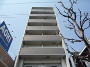 シーラビフォリアの画像