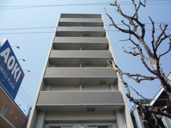 シーラビフォリアの画像