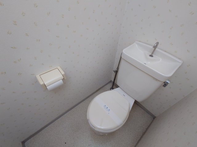 ムカイハラハイツAのトイレ