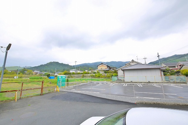 ワイズの展望