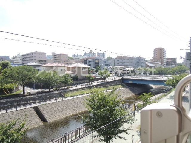 リトルグローブの展望|【リトルグローブ】