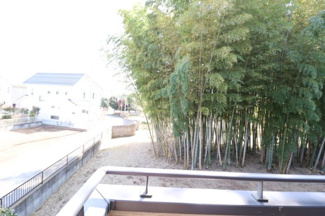 【展望】
