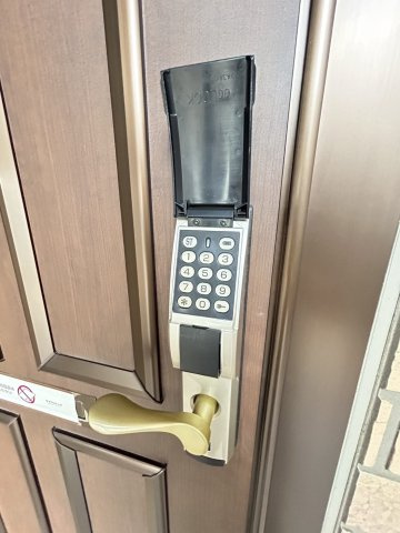 メイユールＭＳのその他
