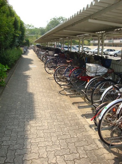 【駐車場】 | 敷地内駐輪場