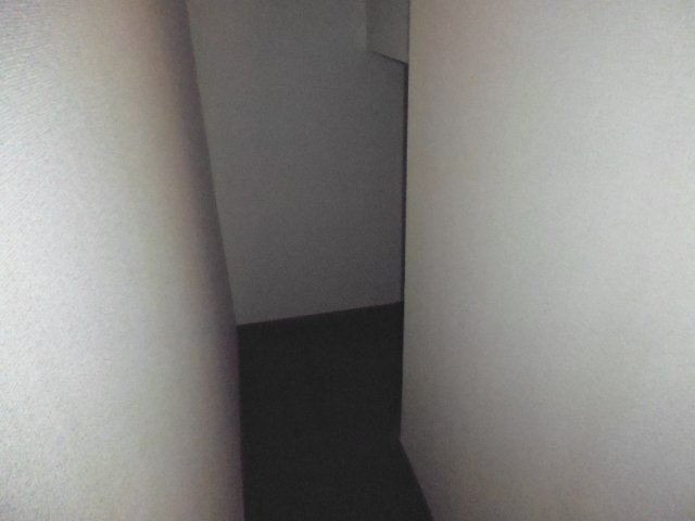 クレストール夏澤Ｂの収納|階段下収納