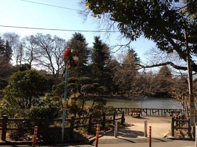 【周辺】 | 三井ホーム善福寺住宅 | 歩いて４分の善福寺公園