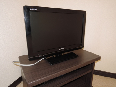 【設備】 | レオネクストリバーサイド柏原 | ☆テレビ☆