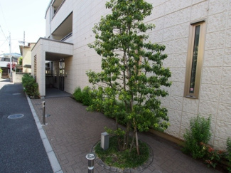 【エントランス】 | 緑も垣間見える気持ちのいい環境です